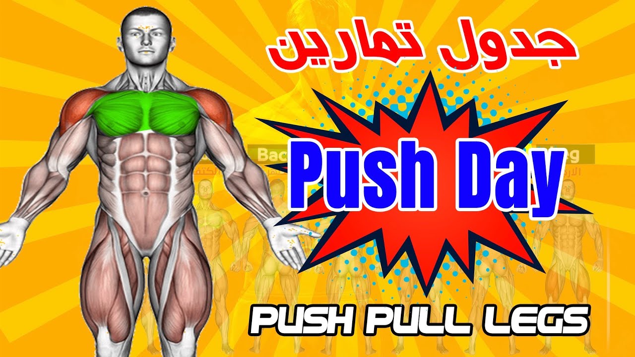 تمرينة Push Day جدول تمارين كمال الاجسام للمبتدئين 4 اسابيع  Push Workout (PUSH | PULL | LEGS)