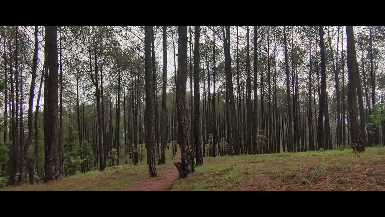 NALA GADHI ( BANEPA GADHI )