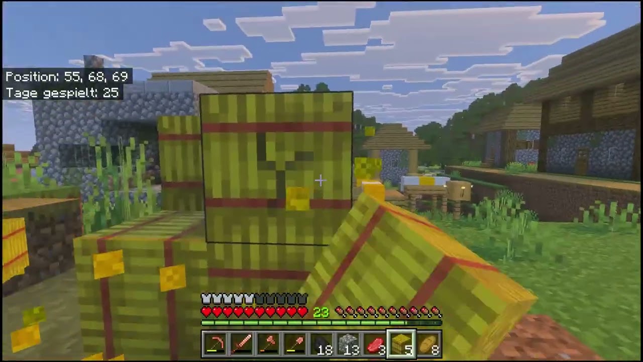 Minecraft Surival - Tag 25-26
