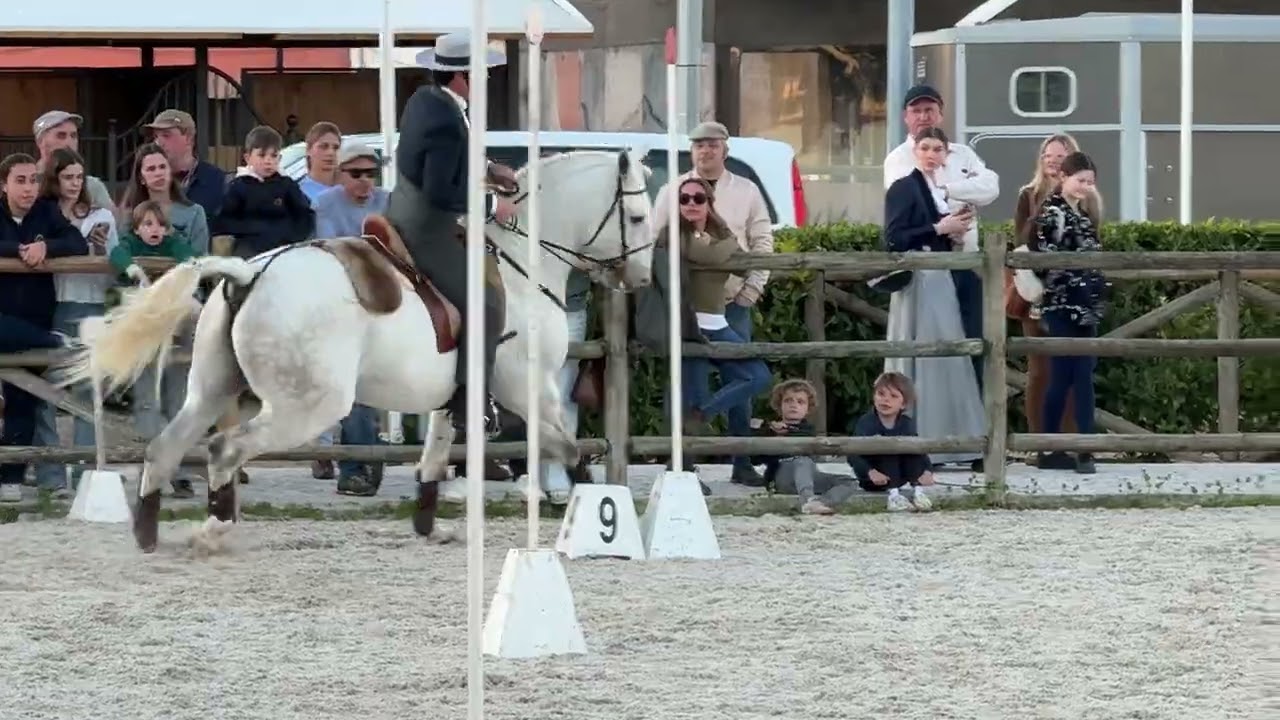 Odim - Working Equitation - Speed Test 