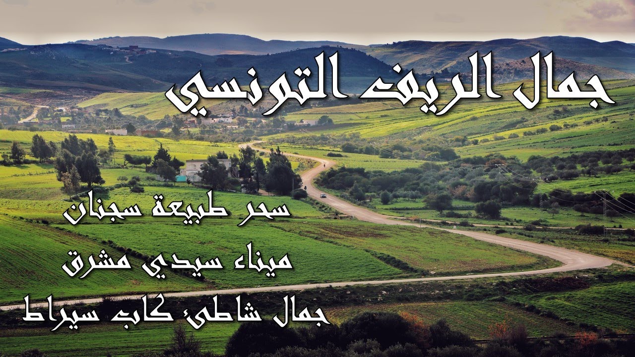 جمال الريف التونسي. The beauty of the Tunisian countryside 🇹🇳 سجنان, سيدي مشرق, كاب سيراط. 