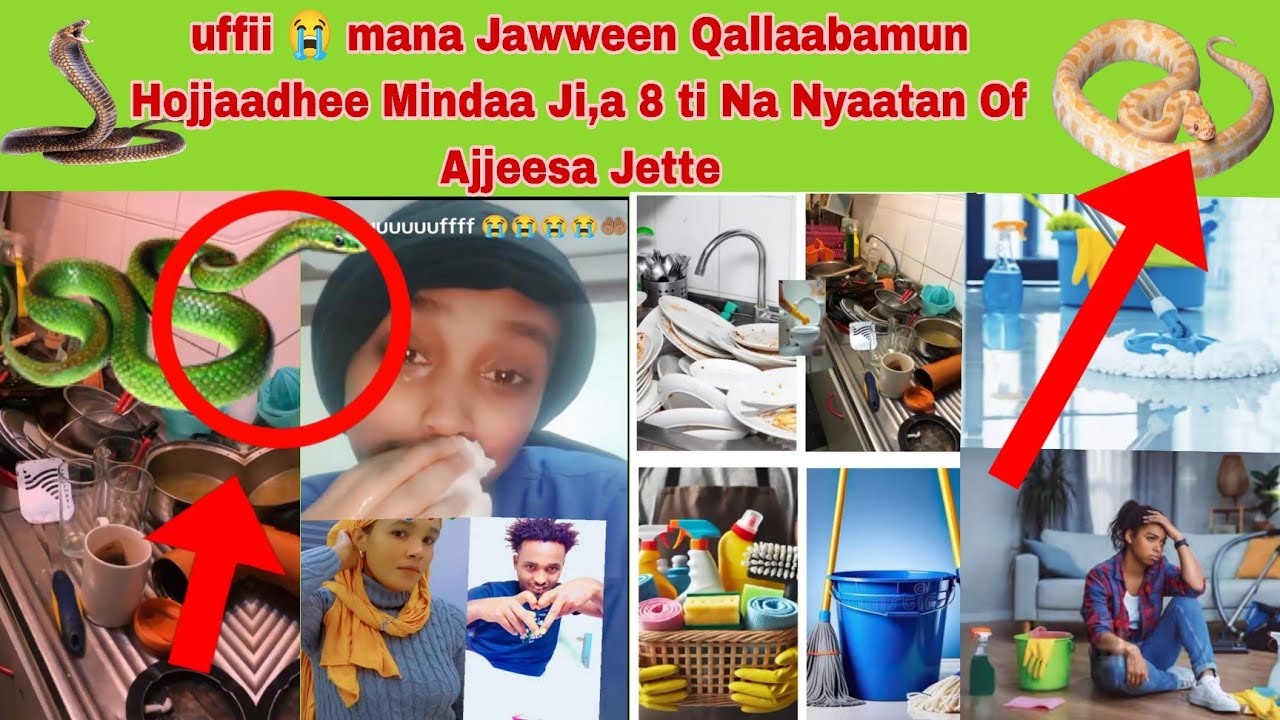 Mana Jawween Qallaabamun Hojjaadhee Riyala 10,000 Nyaatan Jalaa 😭