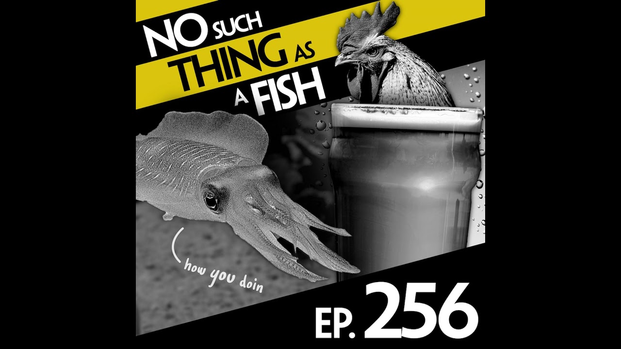 256: No Such Thing As A Puddle Photographer