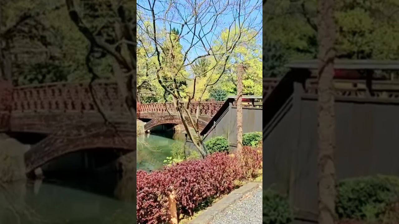Explore Beautiful Park in Longview Washington #travel