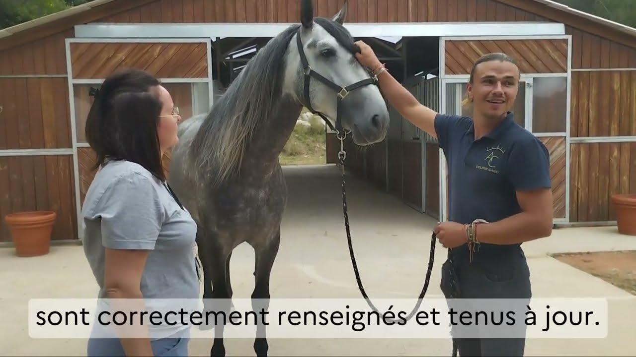 Veiller au respect du bien être animal (DDPP83)