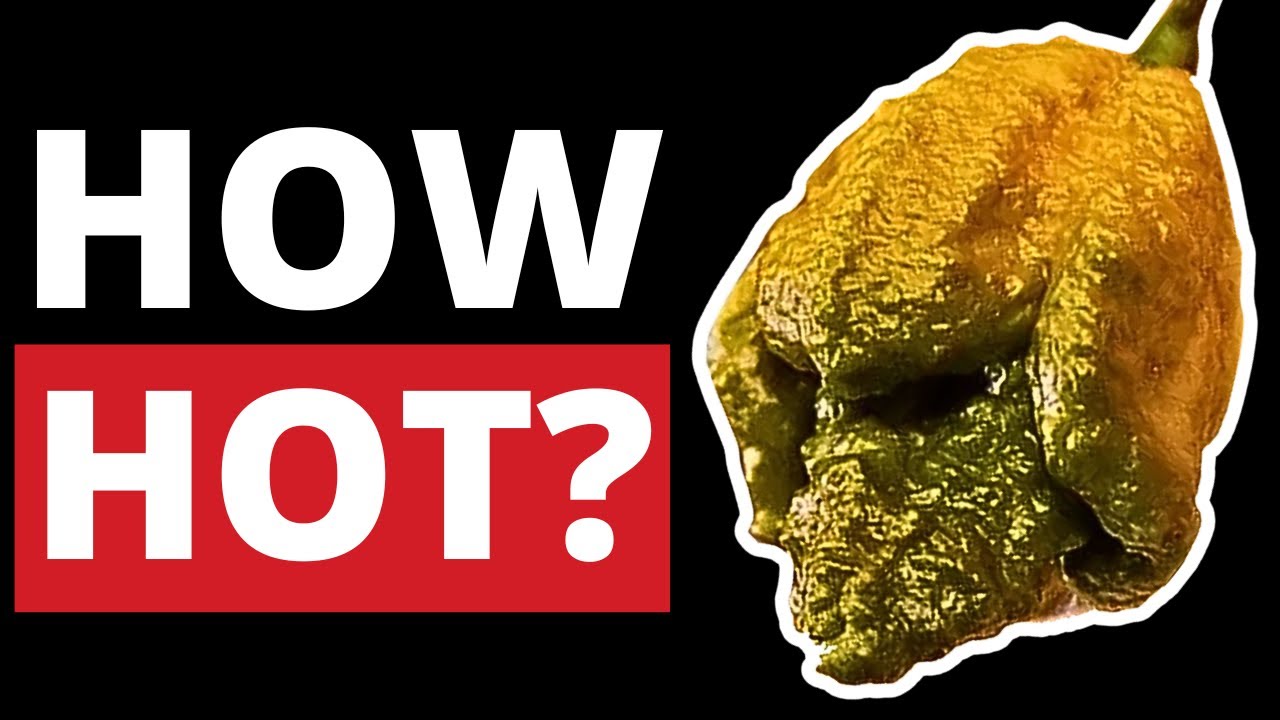Pepper X on the Scoville Scale