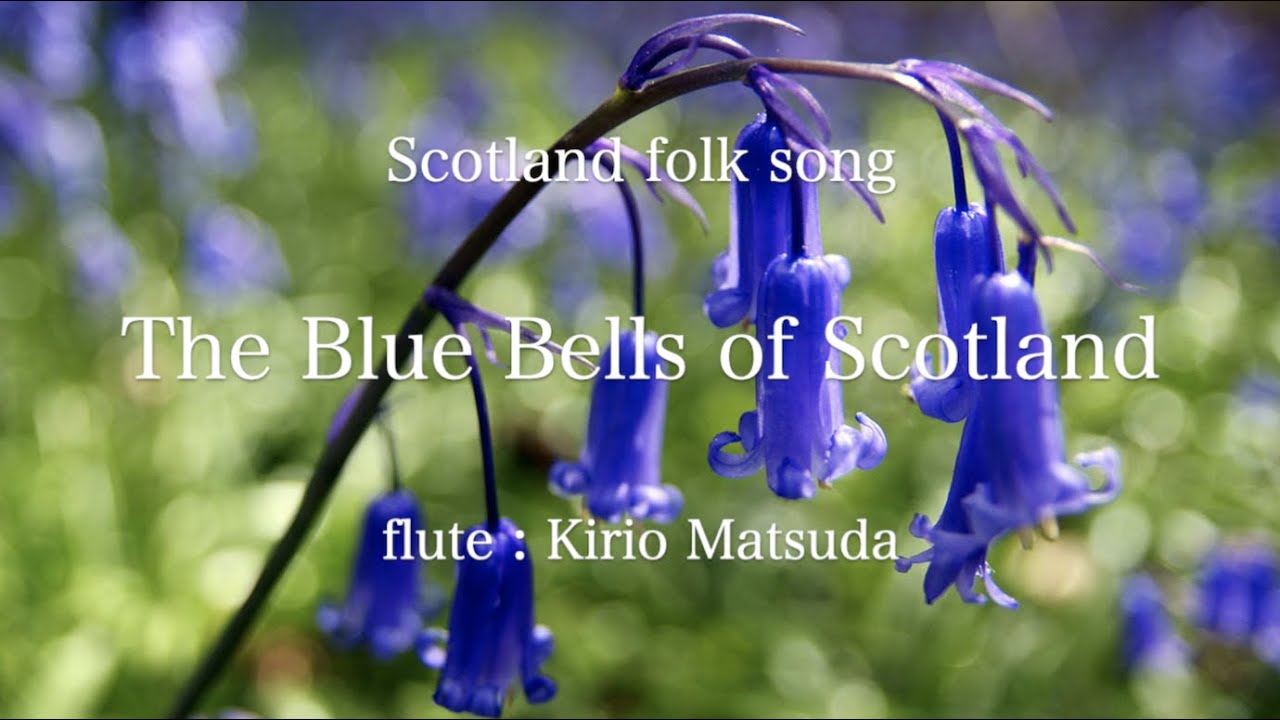 The Blue Bells of Scotland (Scotland folk song) flute : Kirio Matsuda