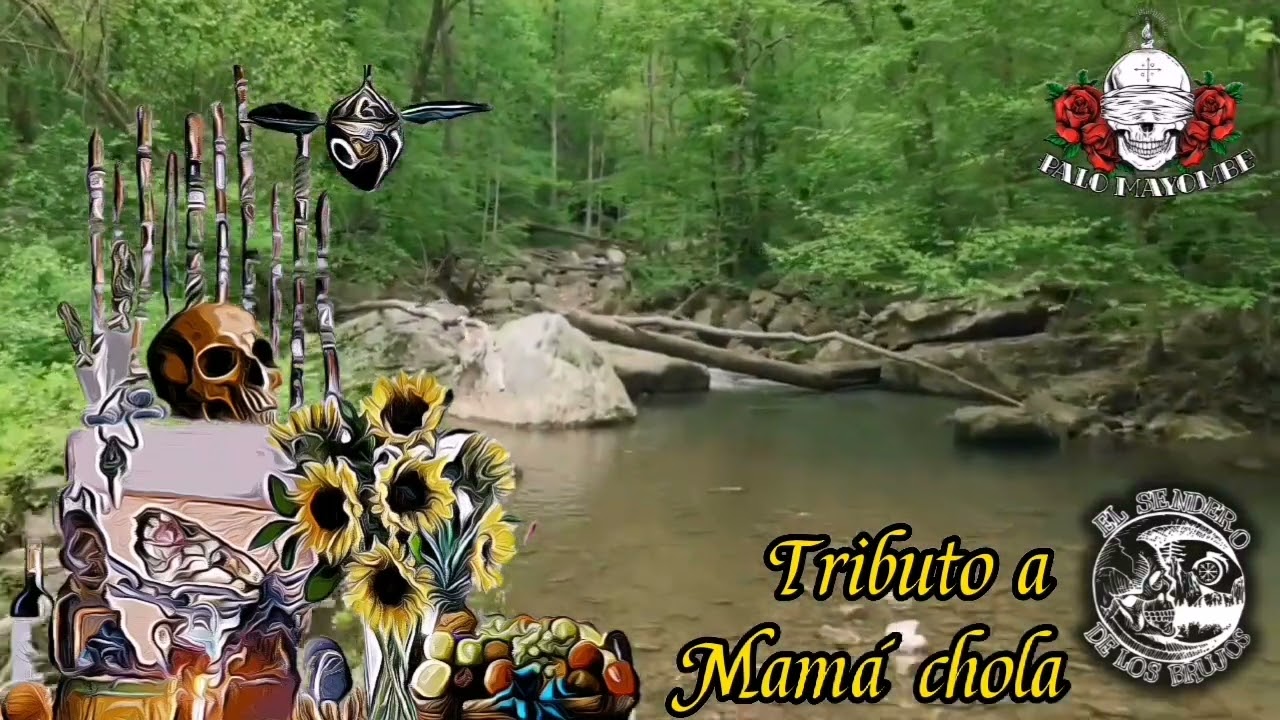CANCION  MAMA CHOLA, CANCION MAMA SHOLA PALO MAYOMBE #palomayombe CONSULTAS 5543156652