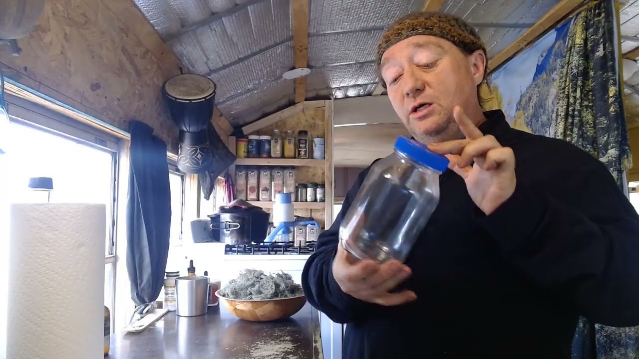 How to Make Usnea Tincture | Wild Foraged Herbal Medicine and Step by Step Guide