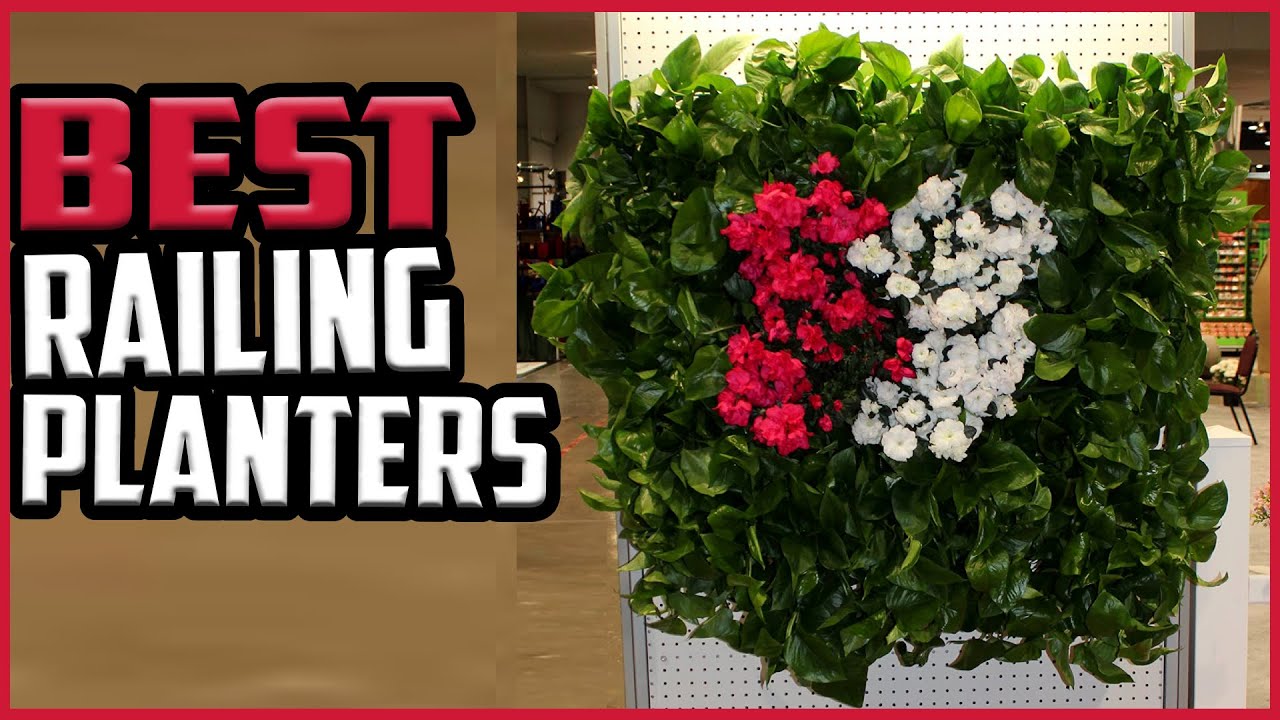 Top 5 Best Railing Planters in 2023 reviews✅ Buying guide