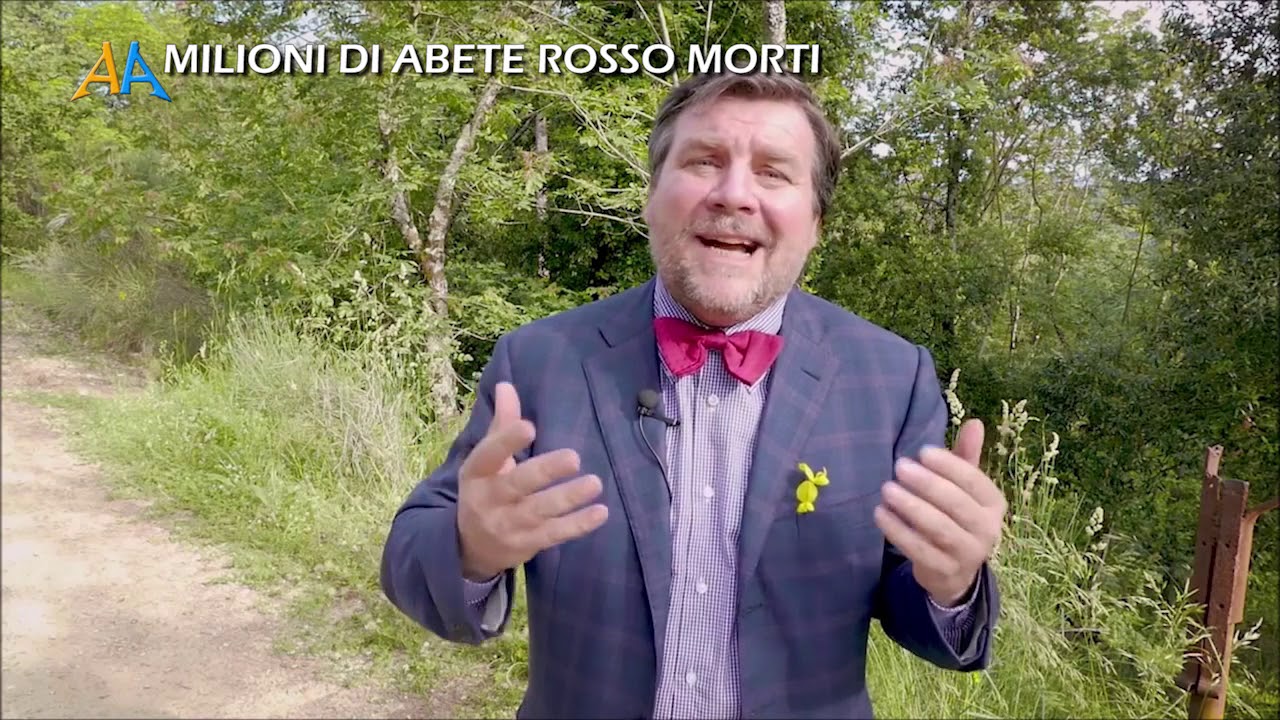 Milioni di Abete Rosso morti - Bostrico Tipopgrafo - Ips typographus