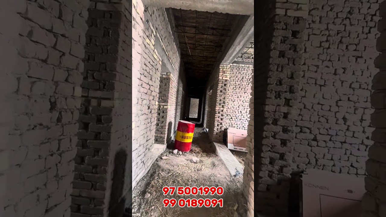 31 января 2026 г.