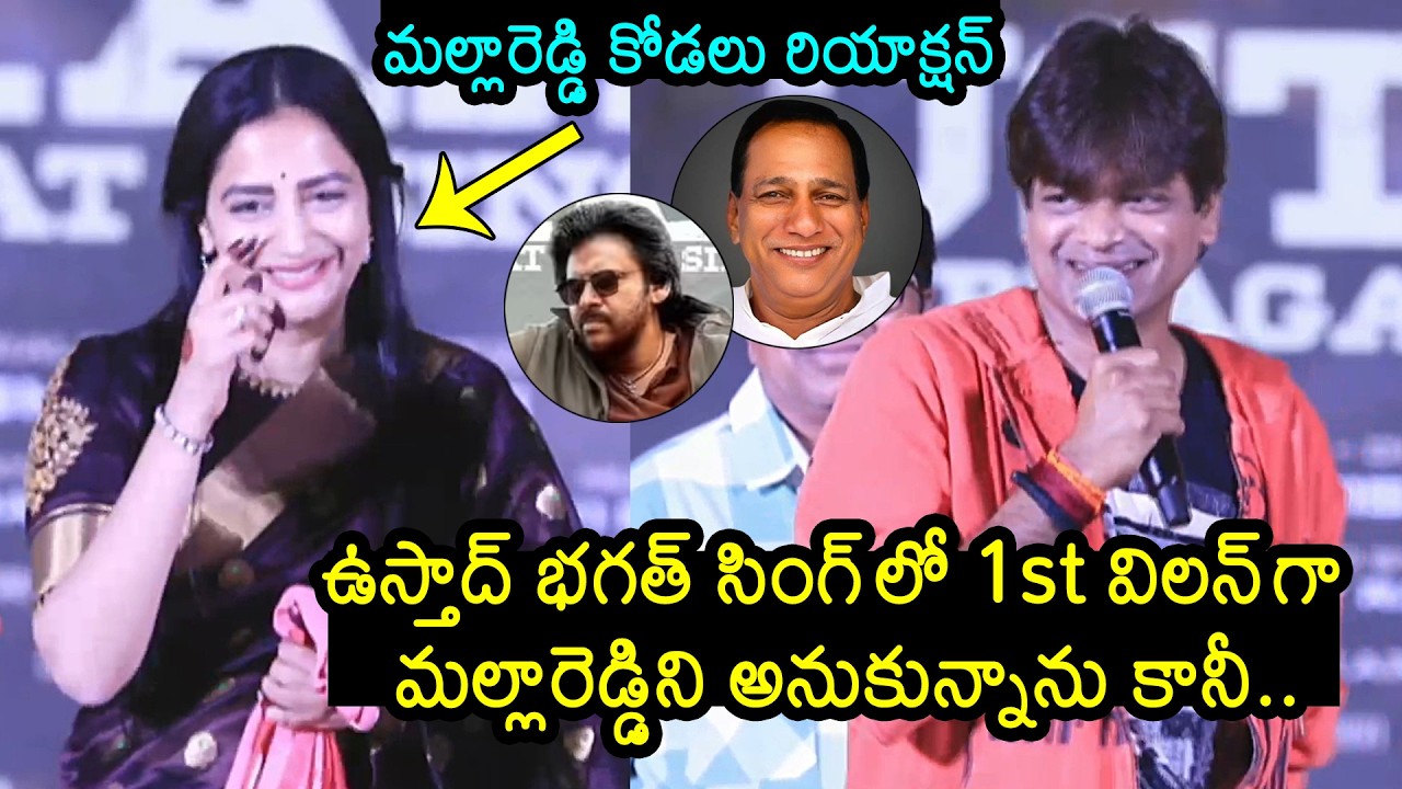 Harish Shankar About Malla Reddy Ustaad Bhagat Singh Villain Role Offer | News Buzz