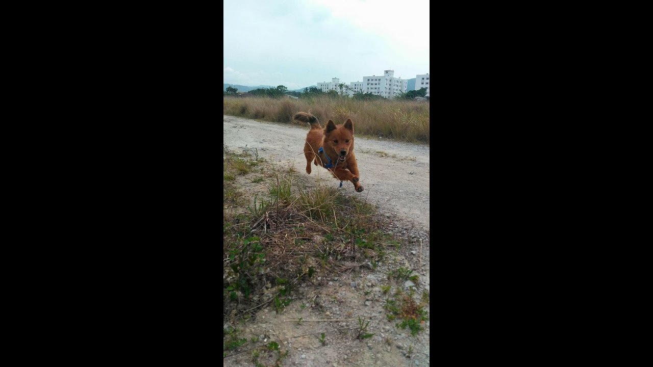FAZENDO A TALA PARA SÍNDROME DO NADADOR