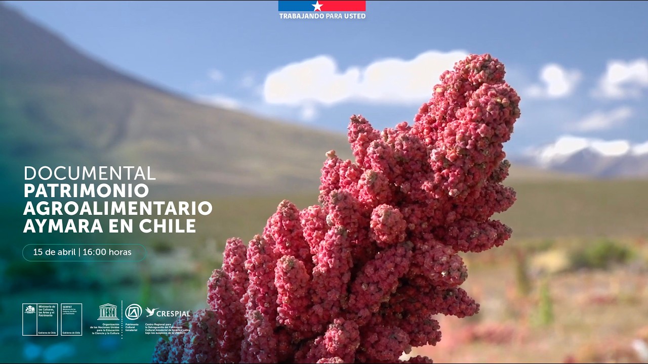 Документальный фильм: Агропродовольственное наследие народа аймара в Чили.