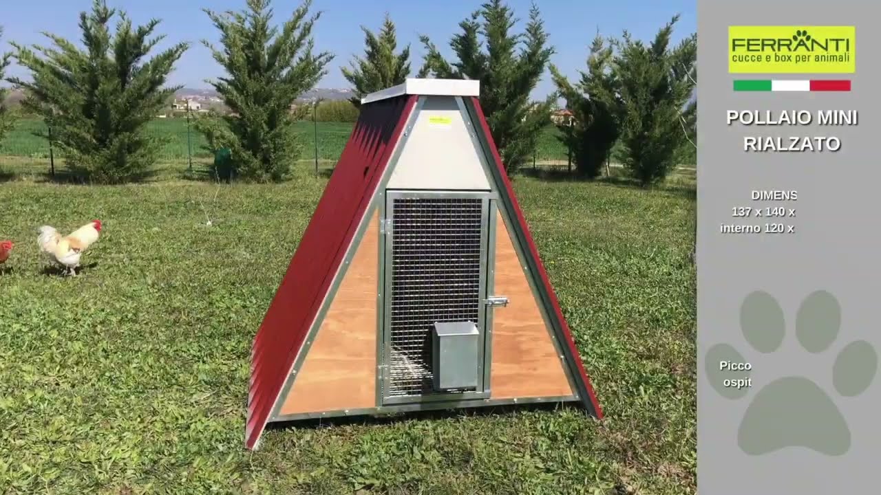 Pollaio per 6 - 8 galline o polli VIDEO PRESENTAZIONE - Ferranti