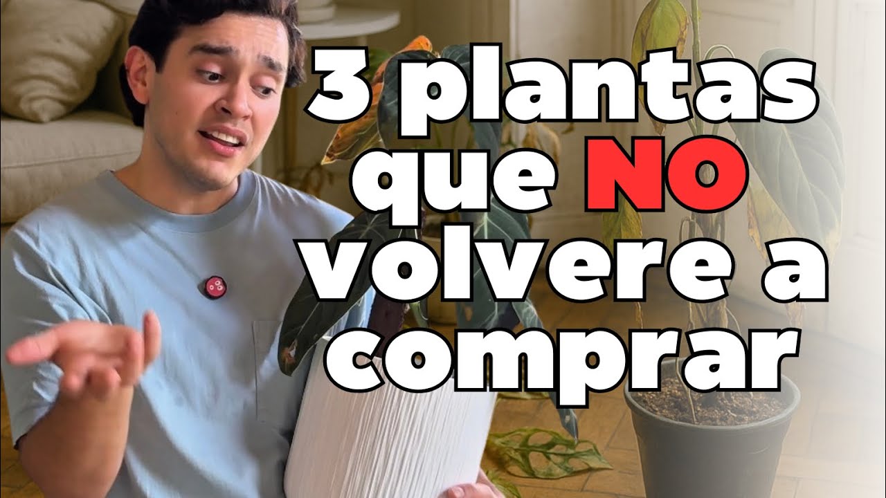 3 Plantas Que Siempre Se Me Mueren (Aunque Lo He Intentado TODO)
