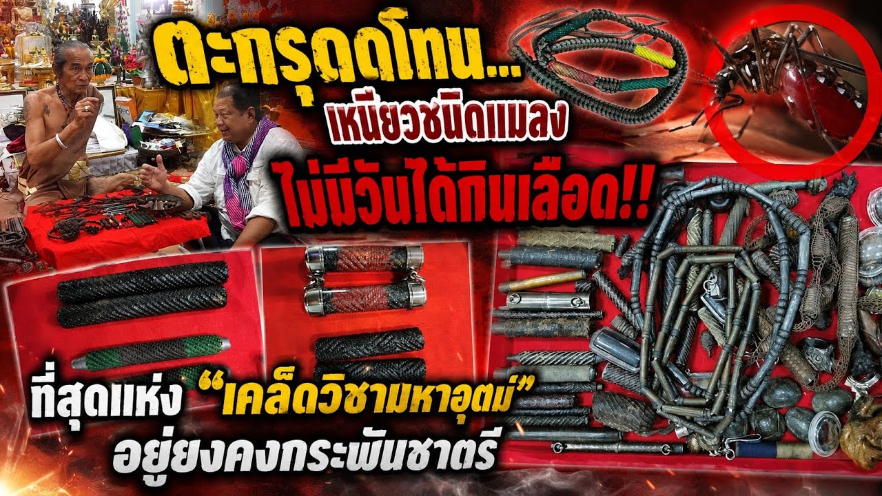 ตะกรุดโทน... เหนียวชนิดแมลงไม่มีวันได้กินเลือด!! ที่สุดแห่ง