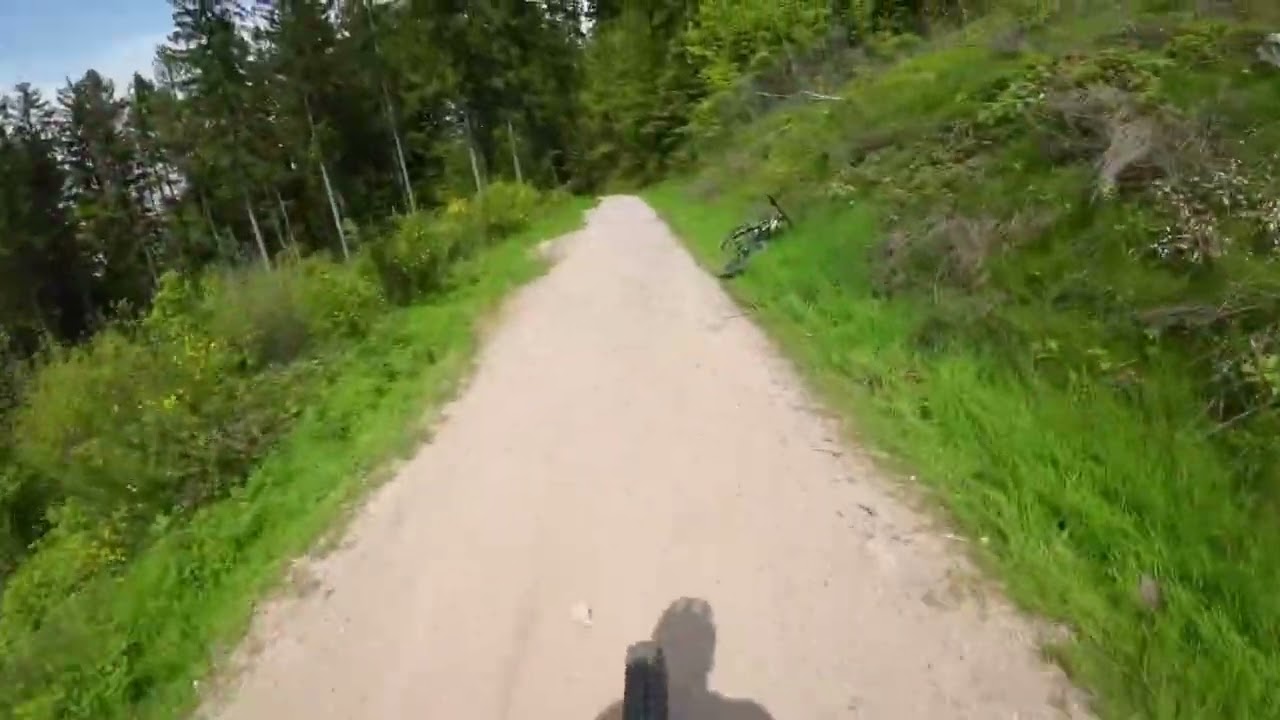 Sasbachwalden Pfad Zwo und Schwarzwaldtrail #orbeawild