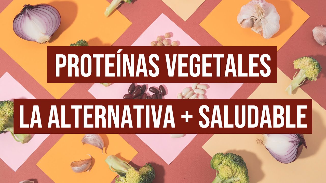 🟢[Proteínas vegetales]🥑 ¿Cómo pueden MEJORAR tu dieta y estilo de vida?