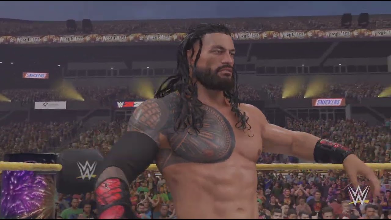 Roman reigns vs cm punk world heavyweight championship match