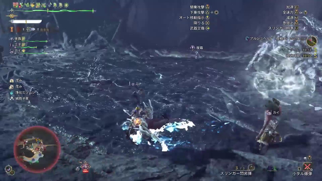 セメコの狩猟日記#303 王アルシュベルドのフリチャレに挑戦！【仕事そっちのけ配信】