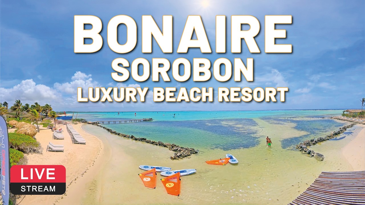 Sorobon Luxury Beach Resort | Dunkerbeck Pro Center | Bonaire 🏄💦🌴 180° LIVE WEBCAM