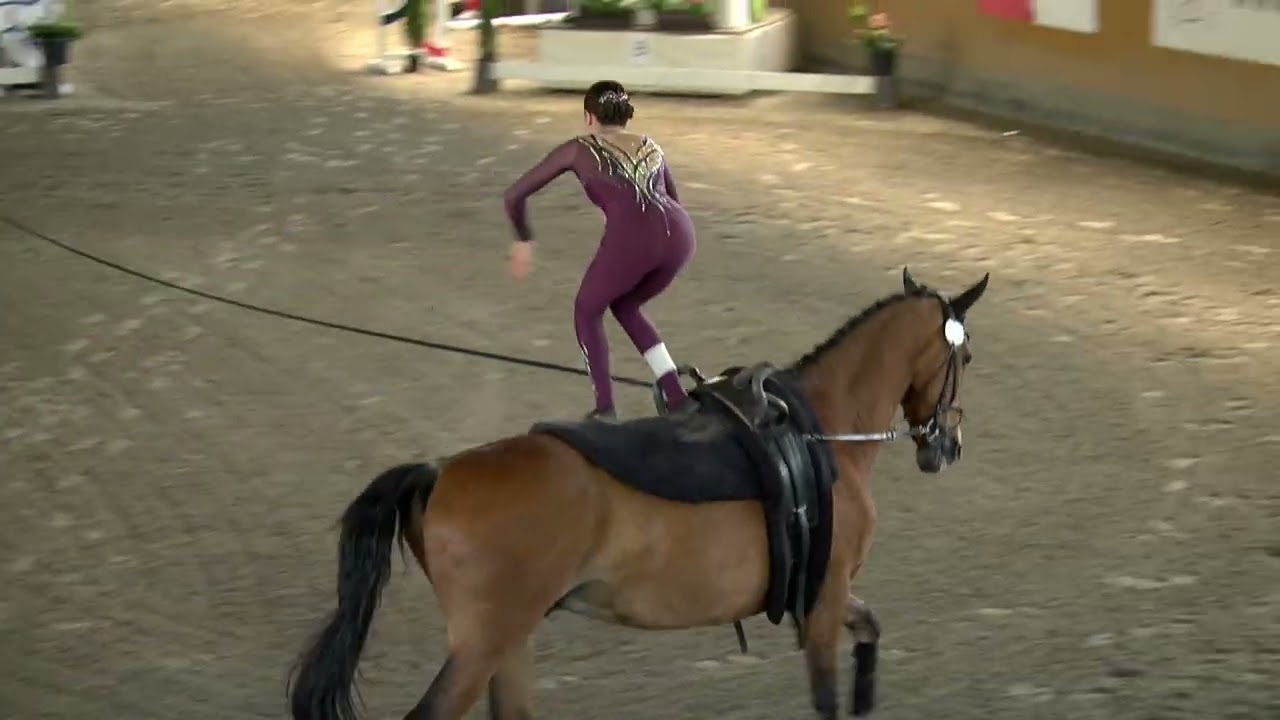 Individual – 2* Round 2 Free – CVI Frenštát 15. 6. 2025