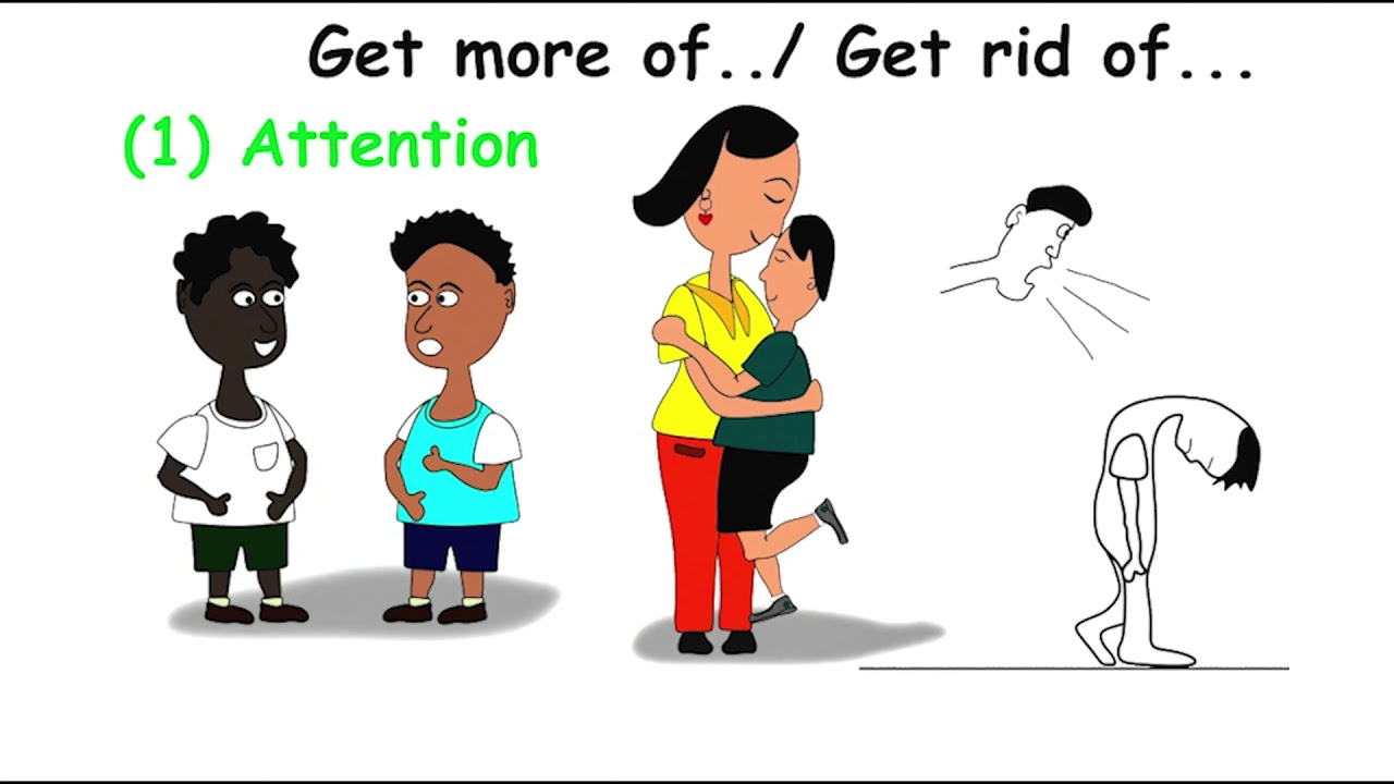 Functions of Behaviour