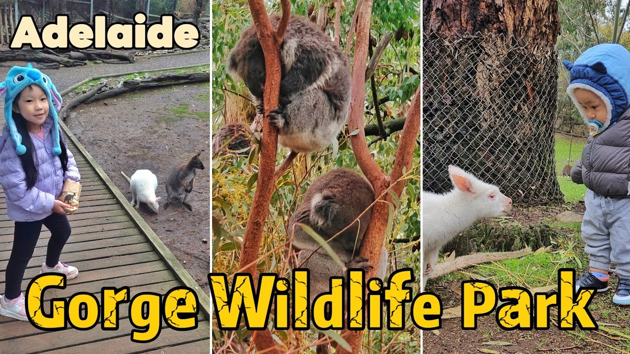 Australia | Adelaide | Gorge Wildlife Park | Westfield Marion | Watershed | District Outlet Centre