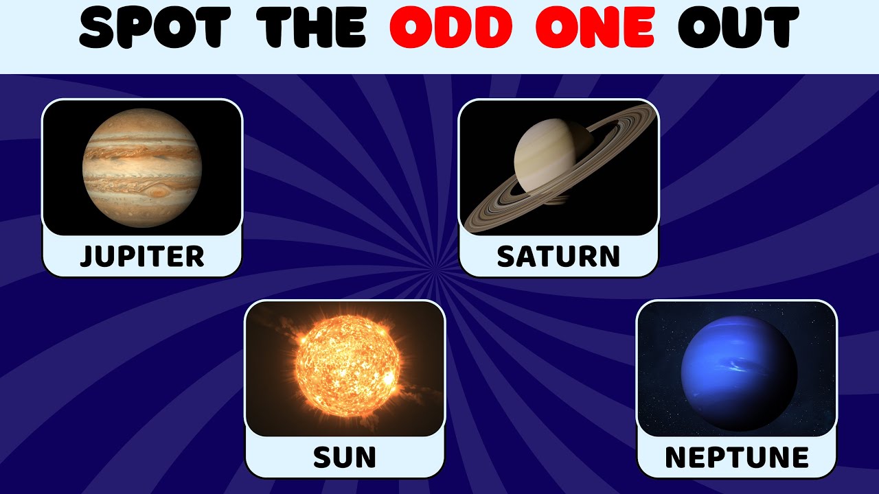 Spot the Odd One Out Quiz 🔍 |  Test Your IQ @Puzzling Pawzz