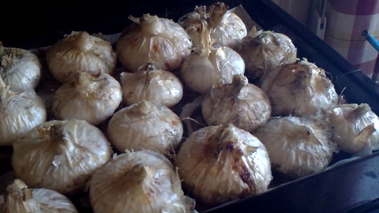 CIPOLLE AL FORNO