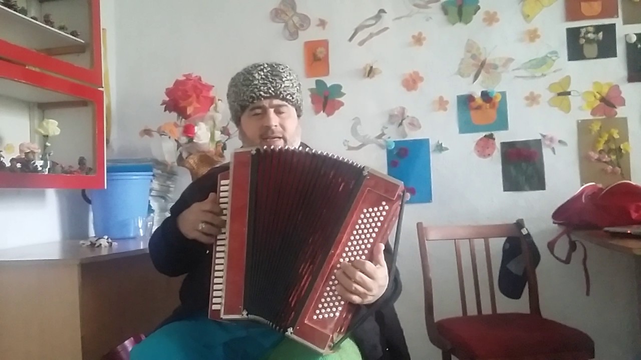 Апи из гойты