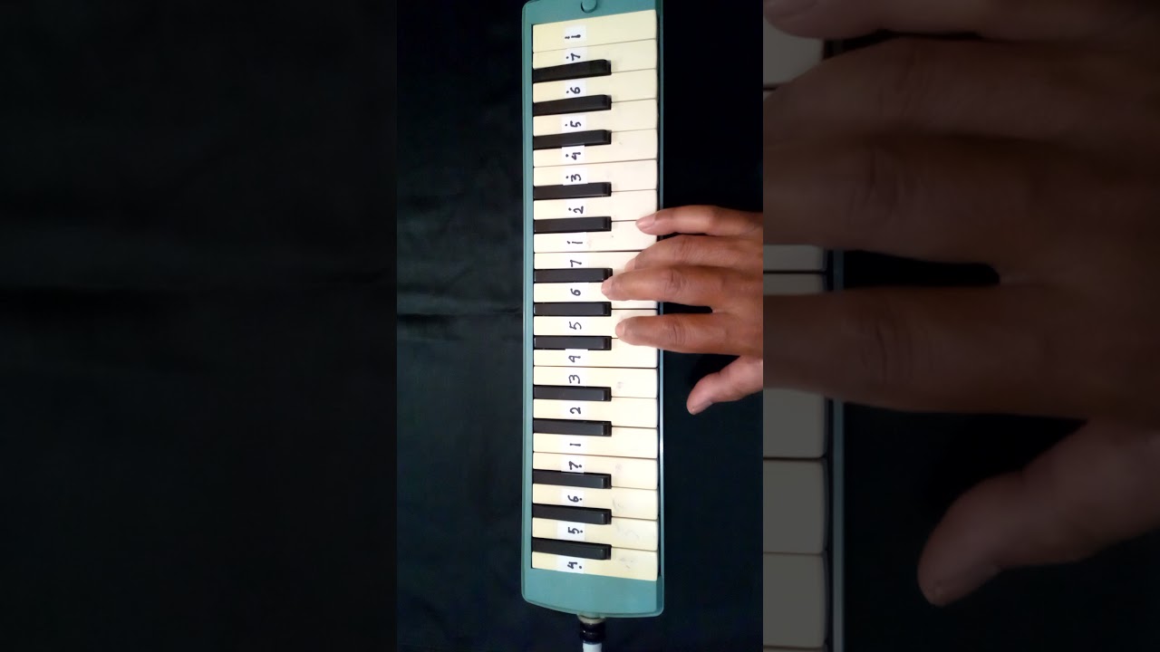 Latihan Pianika Lagu SUWE ORA JAMU