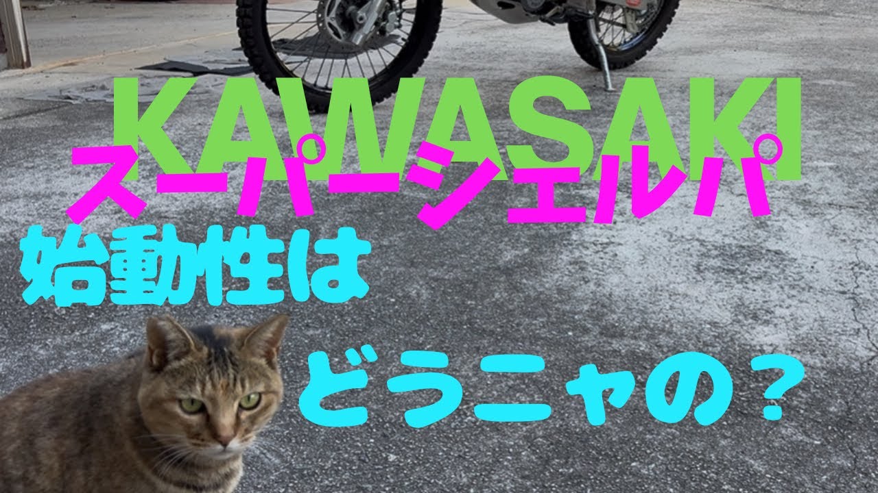 シェルパエンジン始動性⭐︎ウェア•用品紹介も⭐︎