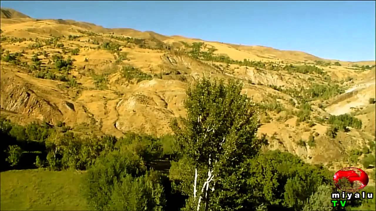 BİNGÖL (miyalu TV )