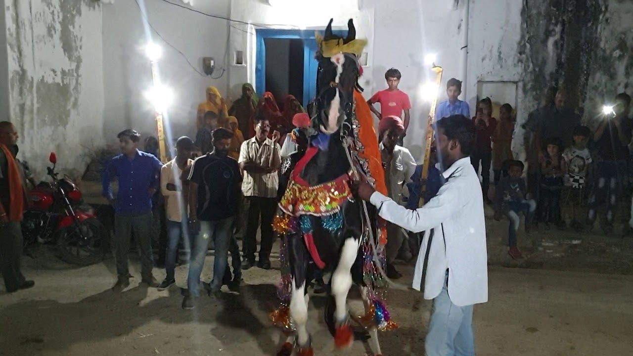 Rajasthani bandoli gav Mokhada
