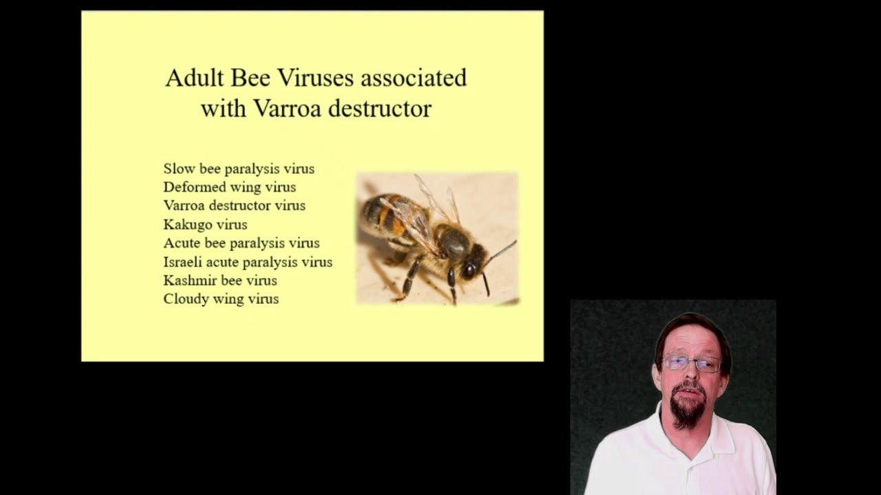 757 Honey Bee Pests and Diseases