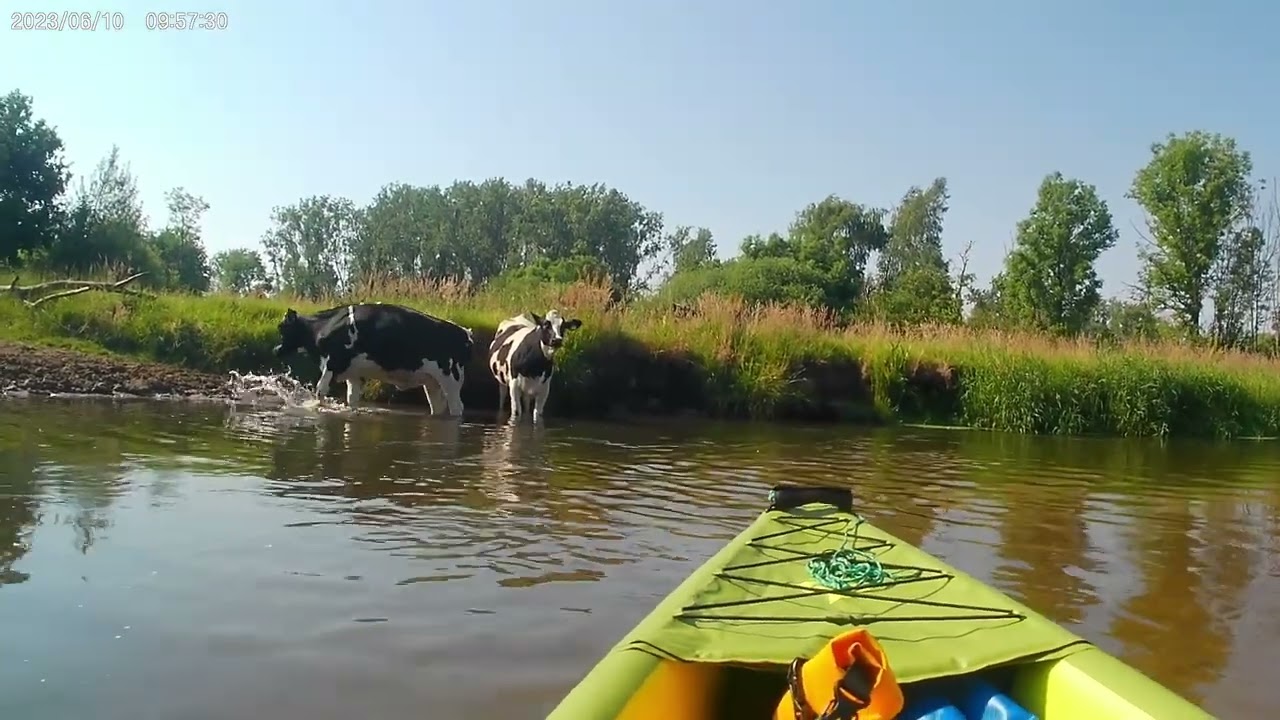 Kajakken op de Dommel Venbergse watermolen