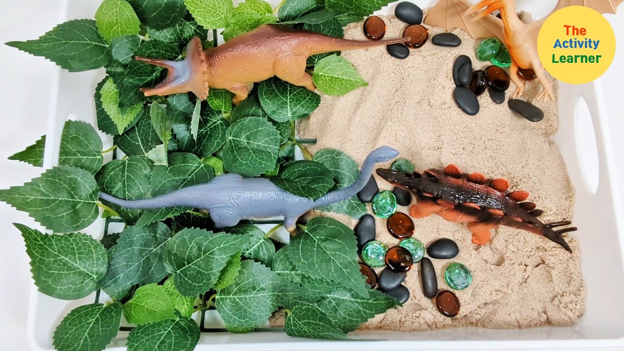 Dinosaur Sensory Bin | Activities for Children | Educational Videos for Kids