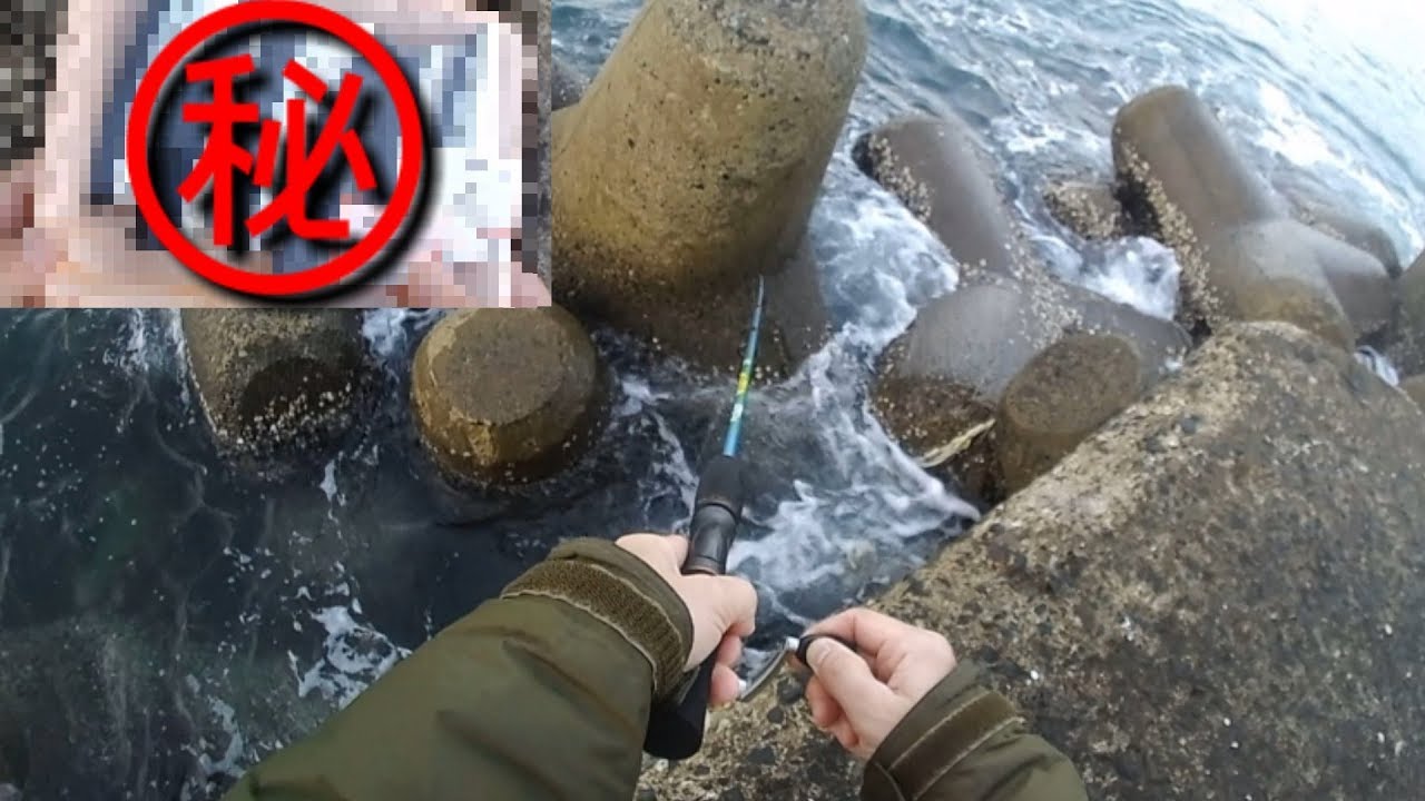 【根魚が入れ喰い】最強格安エサがヤバいほど釣れる‼