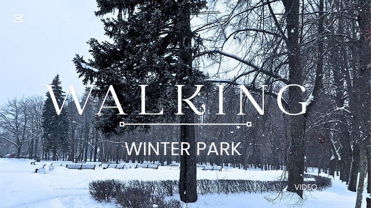 WALKING winter park | Зимний парк