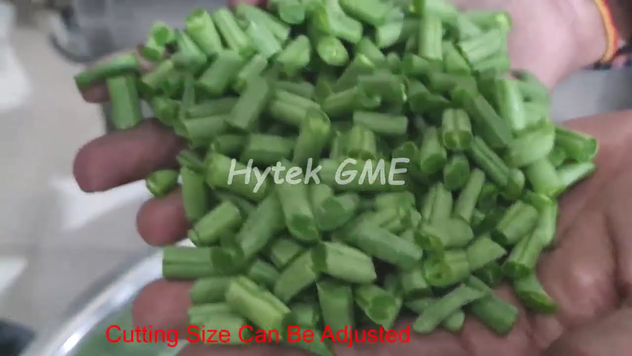 Green Beans Cutting Machine 500kg Per Hour | French Beans Cutting | Spinach Cutting Machine