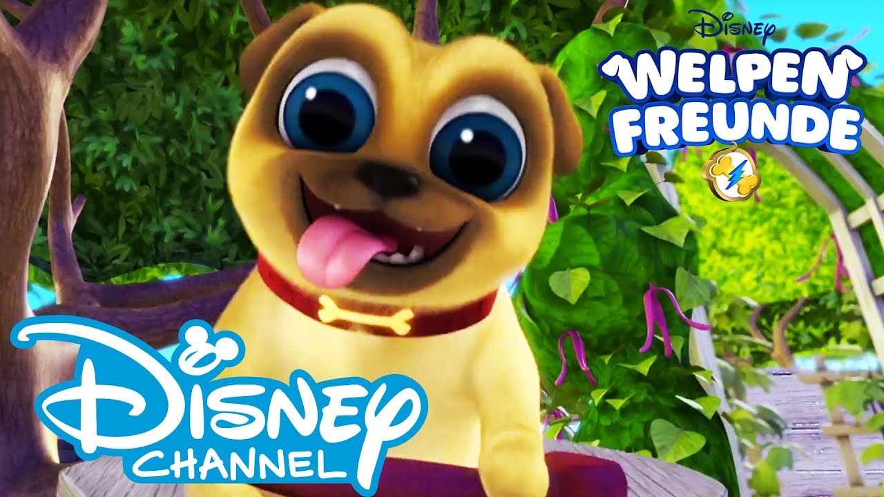 Welpen Freunde - Titelsong: Karaoke Version | Disney Junior 🐶