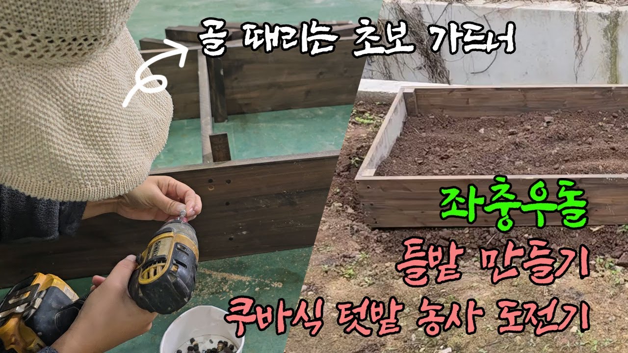 좌충우돌 틀밭 만들기 쿠바식 텃밭 농사 도전기