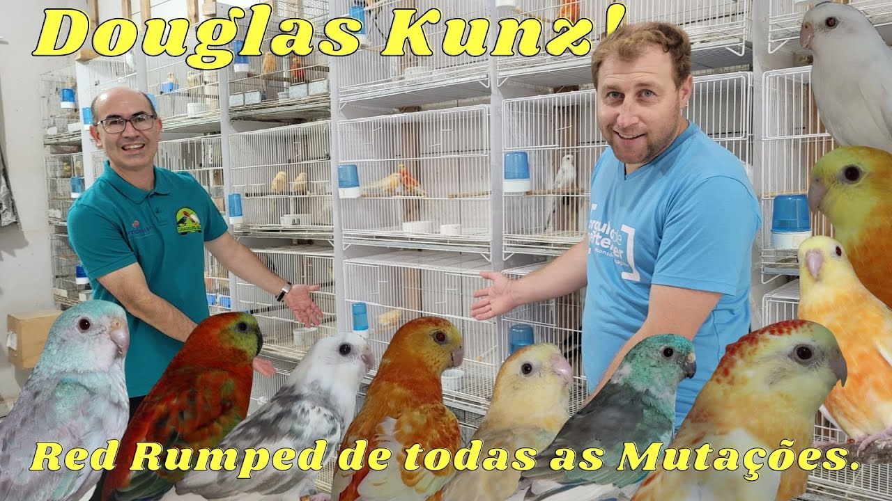 RED RUMPED FULVO E MAIS UMA VARIEDADE IMPRESSIONANTE NO DOUGLAS KUNZ!!!