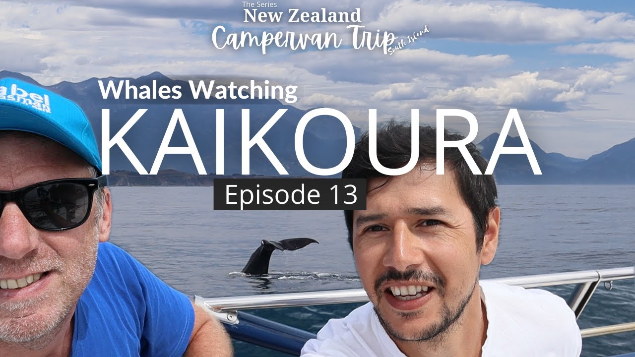 [Episode 13] Whale Watching in KAIKOURA+ Wine Tour in BLENHEIM [Last Episode]
