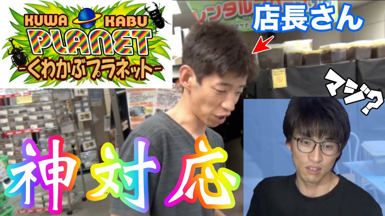 クワカブの宝庫「くわかぶプラネット」の店長さんオススメで5万円分詰めてもらったら度肝抜かれるチョイスだった…