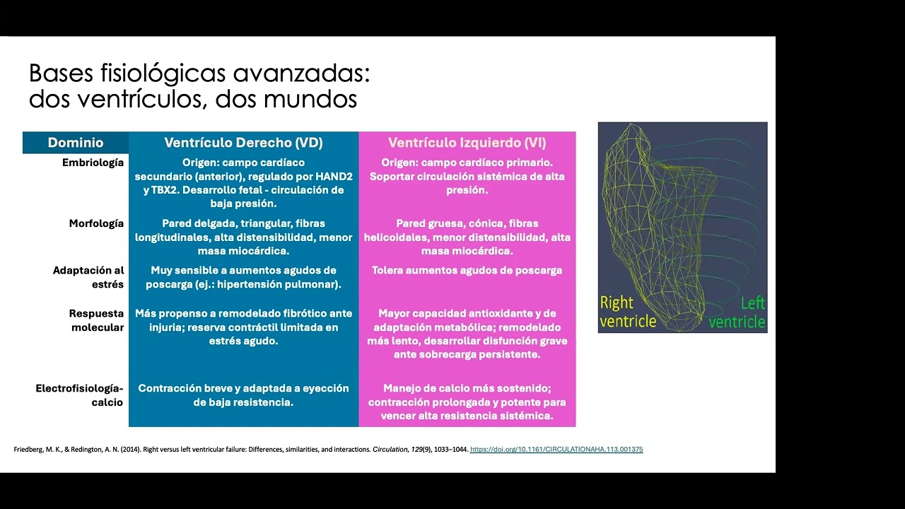 Dos corazones en uno estrategias avanzadas para la falla ventricular derecha e izquierda en el postQ
