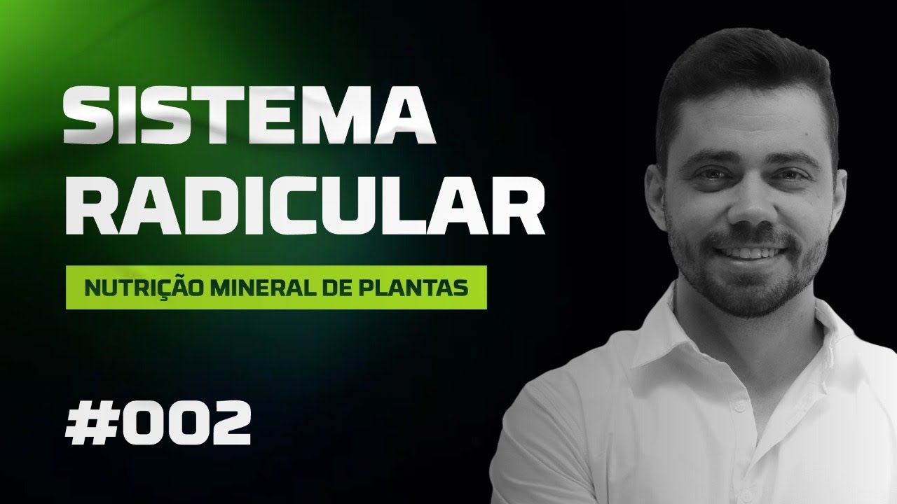 NUTRIÇÃO MINERAL DE PLANTAS - Sistema radicular | Live #002